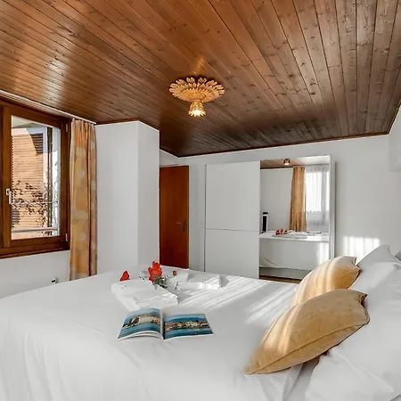 Bel Panorama 1 - Happy